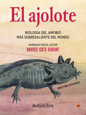 cover image of El ajolote
